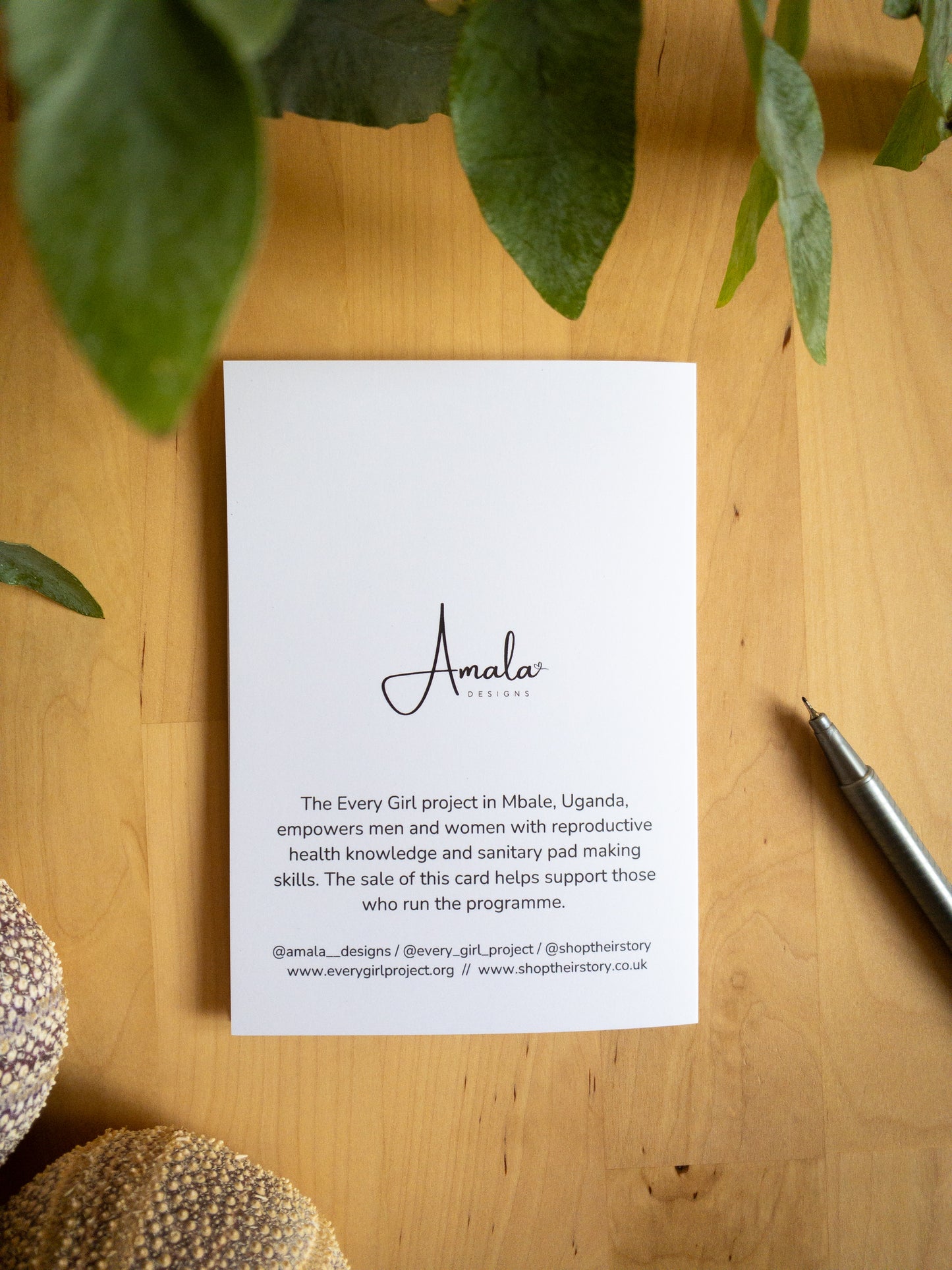Congratulations, You're a Star Greeting Card